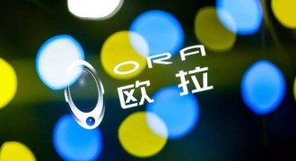 不开玩笑，欧拉好猫果真打开了一个新世代市场