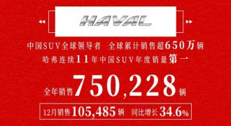 国货当道！年货节哈弗巨额优惠掀“国潮热”