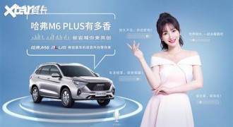 车真大 哈弗M6 PLUS柳岩联名版将上市