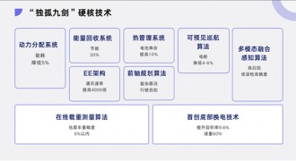 DeepWay·深向星辰全球首次批量交付