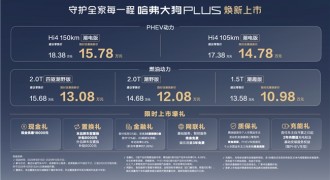 为家庭泛越野而生！哈弗大狗PLUS 10.98万起，双动力任性选！